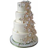 Wedding Cakes Wedding Cakes